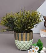 Color Palette Planter