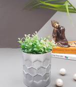 Color Palette Planter