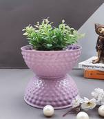 Color palette Planter