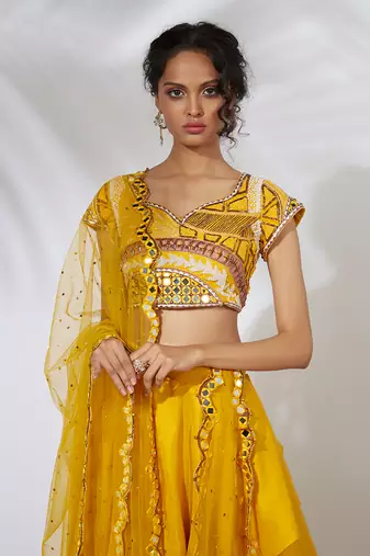 Amber Lehenga Choli And Dupatta Set