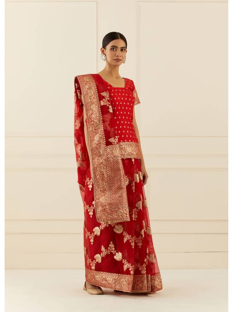 Geroo Jaipur Organza Banarasi Floral Zari Work Saree