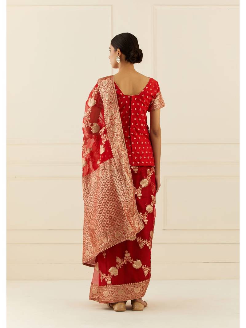Geroo Jaipur Organza Banarasi Floral Zari Work Saree