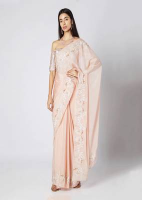 Nude Embroidered Saree Set 1