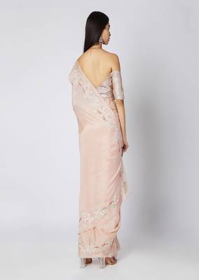 Nude Embroidered Saree Set 2