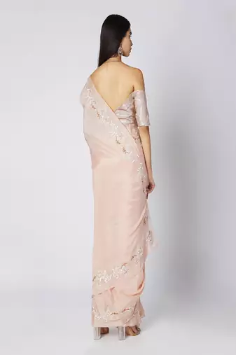 Nude Embroidered Saree Set