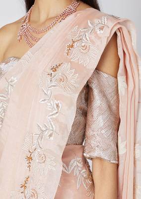 Nude Embroidered Saree Set 3