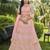 Baby Pink Golden Embroidered Georgette Wedding Lehenga Choli