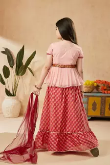 Red embroidered banarasi silk stitched lehenga