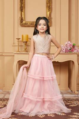 Light-pink embroidered net stitched lehenga 1