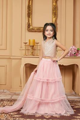 Light-pink embroidered net stitched lehenga 2