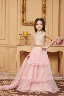 Light-pink embroidered net stitched lehenga
