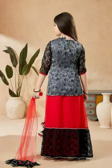 Red embroidered georgette stitched lehenga