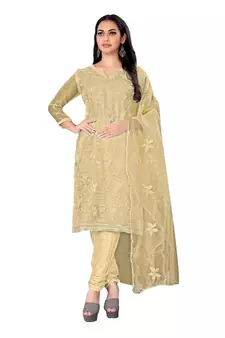 Beige embroidered organza salwar