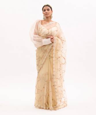 Ivory Hand embroidered Jaal Saree Set 2
