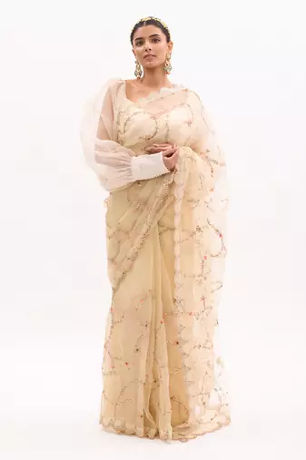 Ivory Hand embroidered Jaal Saree Set