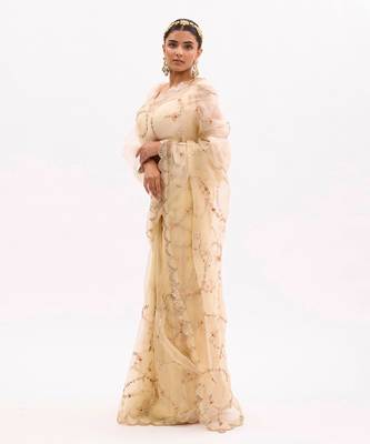 Ivory Hand embroidered Jaal Saree Set 3
