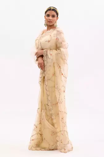 Ivory Hand embroidered Jaal Saree Set