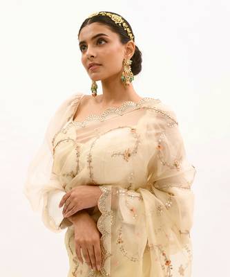 Ivory Hand embroidered Jaal Saree Set 4