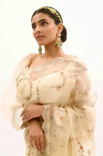 Ivory Hand embroidered Jaal Saree Set