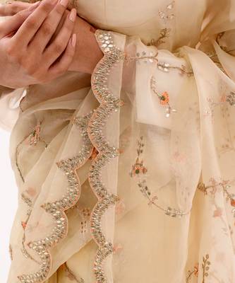 Ivory Hand embroidered Jaal Saree Set 5