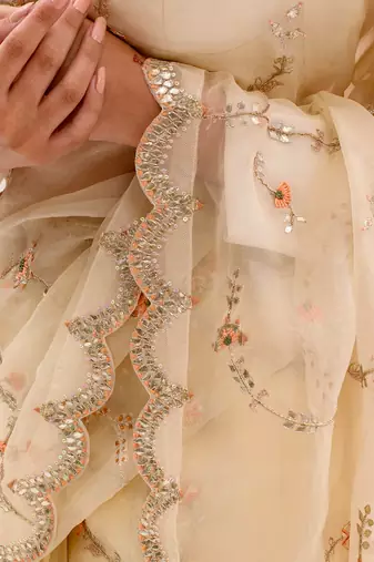 Ivory Hand embroidered Jaal Saree Set