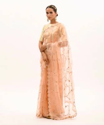 Peach Hand embroidered Jaal Saree Set 2
