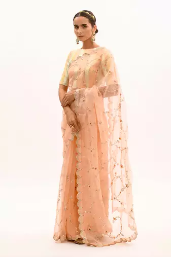 Peach Hand embroidered Jaal Saree Set