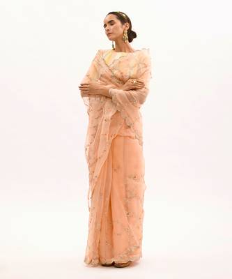 Peach Hand embroidered Jaal Saree Set 3