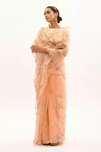 Peach Hand embroidered Jaal Saree Set