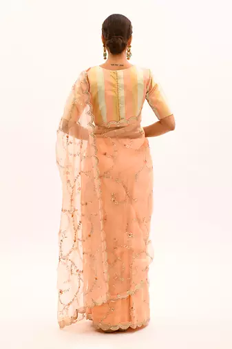 Peach Hand embroidered Jaal Saree Set