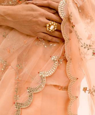 Peach Hand embroidered Jaal Saree Set 5