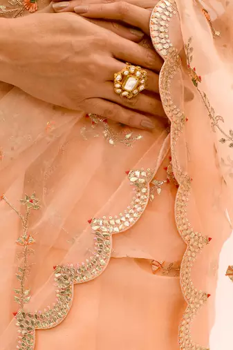 Peach Hand embroidered Jaal Saree Set