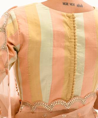Peach Hand embroidered Jaal Saree Set 7