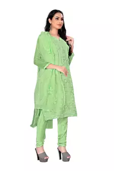 Green embroidered organza salwar