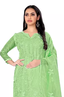 Green embroidered organza salwar