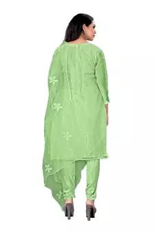 Green embroidered organza salwar