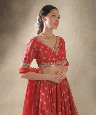Hibiscus Red Embroidered Lehenga Set 4