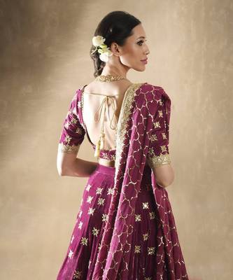 Pomogranate Petunia Lehenga Set 4