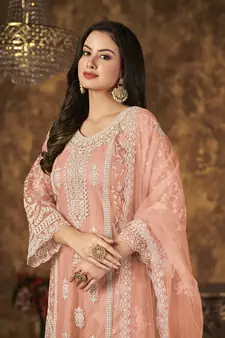 Peach resham embroidery net salwar kameez