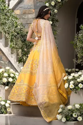 Rubani Lehenga Set