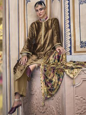 Gold embroidered velvet salwar 2