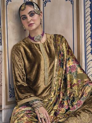 Gold embroidered velvet salwar 3