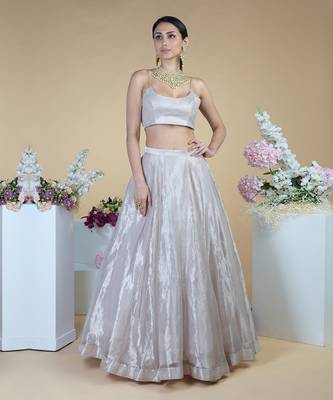 Silver Tissue Circular Flare Lehenga Set 2