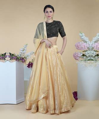 Black-Gold Hand Embroidered Blouse With Gold Tissue Skirt 1