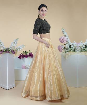 Black-Gold Hand Embroidered Blouse With Gold Tissue Skirt 4