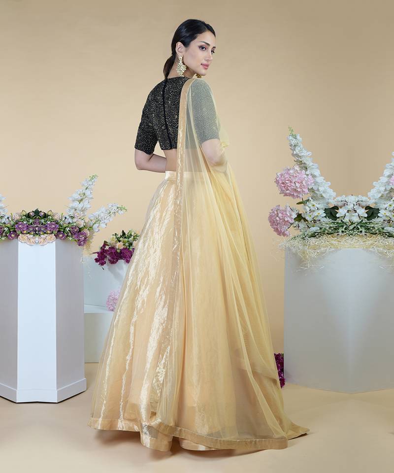 Black-Gold Hand Embroidered Blouse With Gold Tissue Skirt