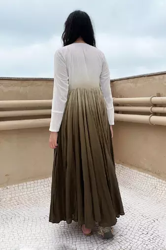 ZIVA
