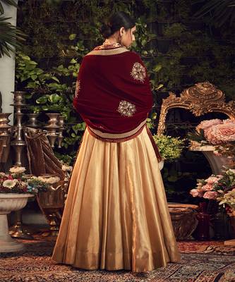 Oxidised Gold Lehenga Set With Velvet Dupatta Shawl 2