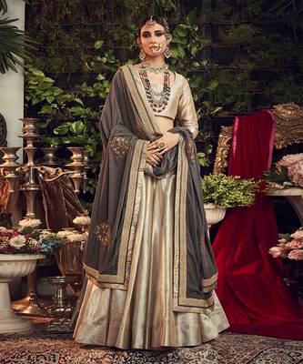 Chapagne Lehenga Set With Velvet Dupatta Shawl 1