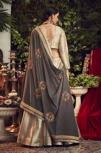 Chapagne Lehenga Set With Velvet Dupatta Shawl